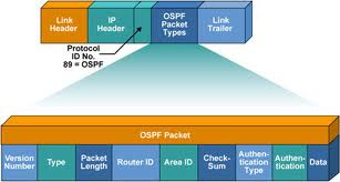 OSPF Format1
